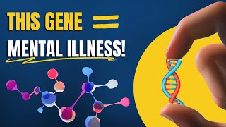 Genetics and Mental Health The MTHFR Gene [upl. by Omlesna987]