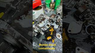 Despiece de bomba Bosch  Tractor Fiatagri 18090 contaminación con agua [upl. by Aleik428]