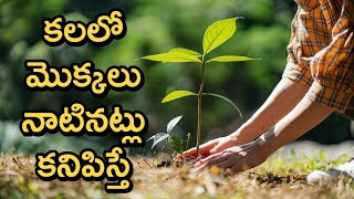 Kalao Mokkalu Kanipisthe  Kalalu Vati Phalithalu  Dreams In Telugu  Laxmi Devotional [upl. by Narda]