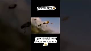 কি অদ্ভুত নিয়ম।🥹বইতে তো অনেক পড়েছো এবার স্বচক্ষে দেখো✅experiment trending [upl. by Corie]