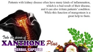 Xanthone Plus Herbal Capsule [upl. by Natye]