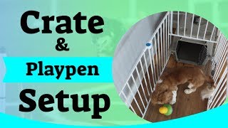 Puppy Crate Setup  Using A Puppy Playpen [upl. by Aynotahs]