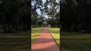 This famous site is Oak Alley Plantation history [upl. by Ardaed]