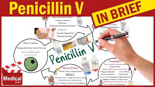 Penicillin V  Pen Vee K  What is Penicillin Used For Dosage Side Effects amp Precautions [upl. by Fortunia]