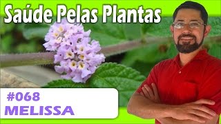 Saúde Pelas Plantas  Melissa calmante rejuvenecedor úlceras catarro cólicas [upl. by Nivac]