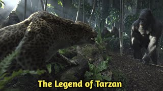 The Legend of Tarzan Movie in Hindi Dubbed Review । Hollywood Movie The Legend Of Tarzan [upl. by Leumhs]