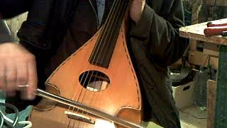 pocket cello cittern [upl. by Eeryt]