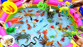 Colorful Cute Animals Carp Shark Goldfish Turtle Baba Duck GuppiesBettaCrocodileCrabSnake [upl. by Aremihc]