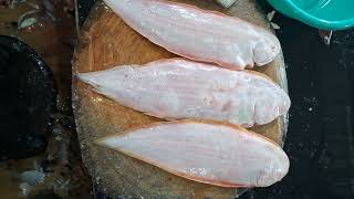 indin seafood dover sole or black solea fish cutting skills big sole fish cute viralvideo [upl. by Partridge]