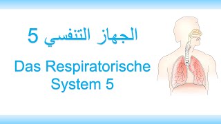 30اللغة الألمانية الطبية  الجهاز التنفسي 5  Medizinische Fachsprache  Respiratorisches System 5 [upl. by Eiraminot]