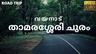 Thamarassery Churam  Road Trip  Wayanad Ghat  Thamarassery Ghat  Dash Cam HD Clip [upl. by Keary619]