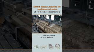 How to choose a collector for spodumene extraction of quotlithium concentratequot [upl. by Vieva992]