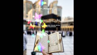 Ayat el Kursi Tilawat Quran Ayat  Surt Al Baqra beautiful Quran shorts quranrecitation [upl. by Babbie228]