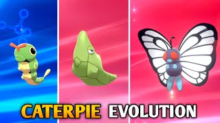 How To Evolve Caterpie Into Metapod And Butterfree In Pokemon Sword amp Shield  Galar Pokedex [upl. by Erlinna]