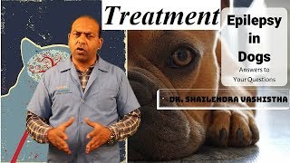 In Depth  Treatment for Epilepsy in Dogs VET For PET [upl. by Ambert]