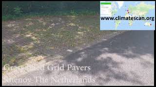 Grass filled Grid Pavers Rhenoy The Netherlands [upl. by Frisse]