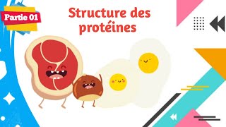 Biochimie  Structure des protéines  Partie 0114 [upl. by Acenahs854]