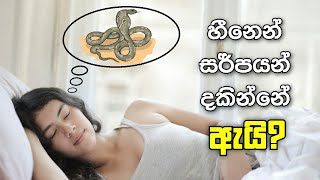 සර්පයන් දැකීමේ සිහින පලාපල  sihina palapala [upl. by Ehcar]