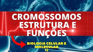 CROMOSSOMOS  ESTRUTURA E FUNÇÕES  BIOLOGIA CELULAR E MOLECULAR  AULA 11 [upl. by Assennev394]