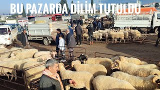 TORBALI HAYVAN PAZARINDA YOK DEDİRTEN PAZARLIKLAR [upl. by Shara627]