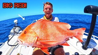 AUSTRALIAS MOST PRIZED REEF FISH Hervey Bay Fishing [upl. by Royal]