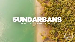 SUNDARBAN Tour  The Natural Shield on Earth  Sundarban National Park Delta  Sundarban Documentary [upl. by Singer]