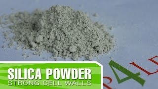 Organic Silica from Kelp4lesscom  Improve your plants structure and cell walls [upl. by Matilda]