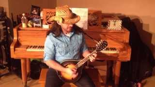 quotThrough the Fire and Flamesquot  Dragonforce Mandolin Cover [upl. by Gates]