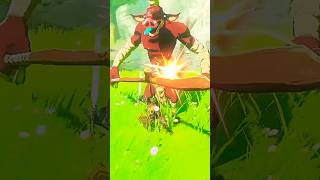 Zelda Sneak Attack Glitch videogames zelda breathofthewildgameplay zeldabotw link [upl. by Wallford]