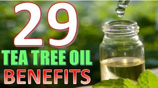 29 Life hacks Uses and Benefits of Tea tree Oil YOU NEED TO KNOW [upl. by Notfa]