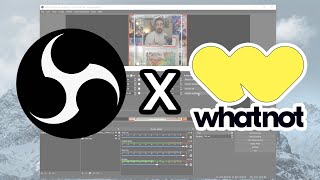 How to use OBS on Whatnot [upl. by Artinek678]