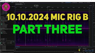 Spectrogram Analysis of Overnight Audio from 10102024 Mic Rig B PART THREE [upl. by Eenttirb]