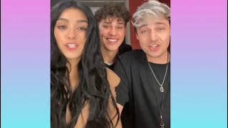 THE NUGGIES TRIO DO THE DEJA VU INVERTED TIKTOK TREND Shorts TikTok DixieDamelio NoahBeck [upl. by Bronny]