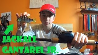 JACKALL GANTAREL JR Review  Tips and Tricks  Bens Tackle Talk [upl. by Whallon449]