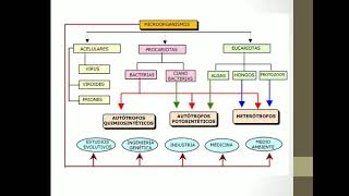 Introducción a la Bacteriología [upl. by Checani]