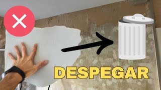 Cómo DESPEGAR el PAPEL de la Pared [upl. by Ynnos]