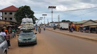 Guinée 🇬🇳 Les Mont nimba  les Crapeaux géant vlog westafricaafrica [upl. by Naitsirhc]