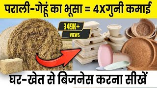 परालीभूसा से biodegradable items बनाना सीखें  Wheat Straw  Rice Straw  Parali  agri business [upl. by Karylin]