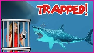 Trapped in a SHARK CAGE [upl. by Ecille]