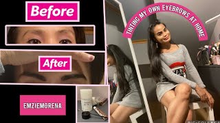 REFECTOCIL eyebrows tint at home practicemakesperfect 🤎 [upl. by Alilak]