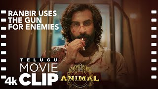 ANIMAL TELUGU SCENE 13 Ranbir Uses The Gun For Enemies😲🔥  Ranbir K Rashmika Sandeep V [upl. by Aitnuahs]