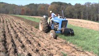 ford 6600 plowing with MF four bottom [upl. by Doty114]