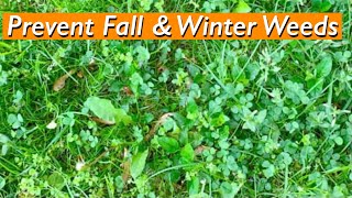 Prevent Fall and Winter Weeds  Hi Yield PreEmergent  Measure Square Footage Easy [upl. by Llered]