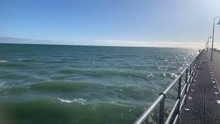 Glenelg Beach 🇦🇺 glenelg jetty beach [upl. by Ailehc878]