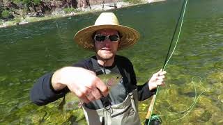 Wade Nymph Fly Fishing The Green River Utah part 2 [upl. by Tarabar]