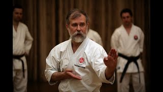 Asai Kata Dai Itsu KenBassai Kihon and Bunkai step by step Dormenko Sensei 8 dan [upl. by Anassor605]