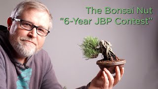 Bonsaify  The Bonsai Nut 6Year Pine Contest [upl. by Yrennalf]