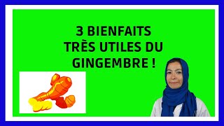 3 Bienfaits du Gingembre à Connaître [upl. by Oralia]