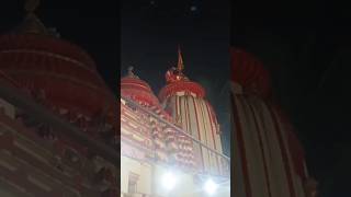 Borigumma Mandir Bada ekadashi 🙏sortviral subscribe [upl. by Uolymme]