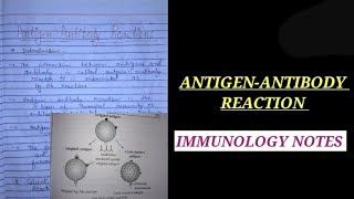 ANTIGEN ANTIBODY REACTION NOTES immunologynotes bsczoology vbu bbmku skmu zoologynotes bio [upl. by Alilad]